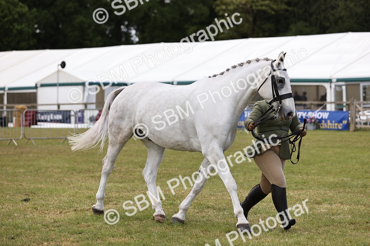 SBM_14743 - Class 88-89 - LIHS BSHA Rising Star of Ridden Hunter Type
