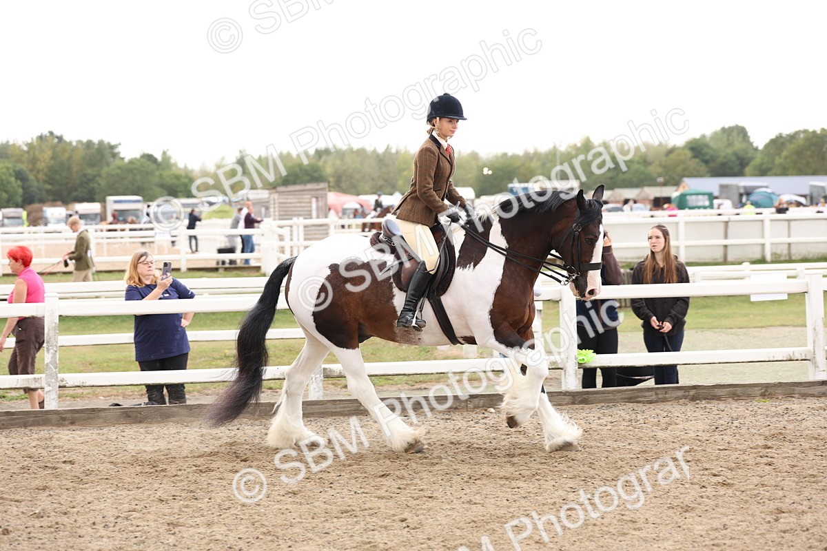 SBM_04193 - Class 54 - Riding Club Horse/Pony