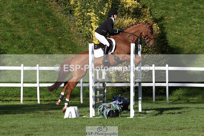 231022-113235-25229 - 686-MOORLAND.MAGIC-Charlotte.Chard-TrotUp+SJ