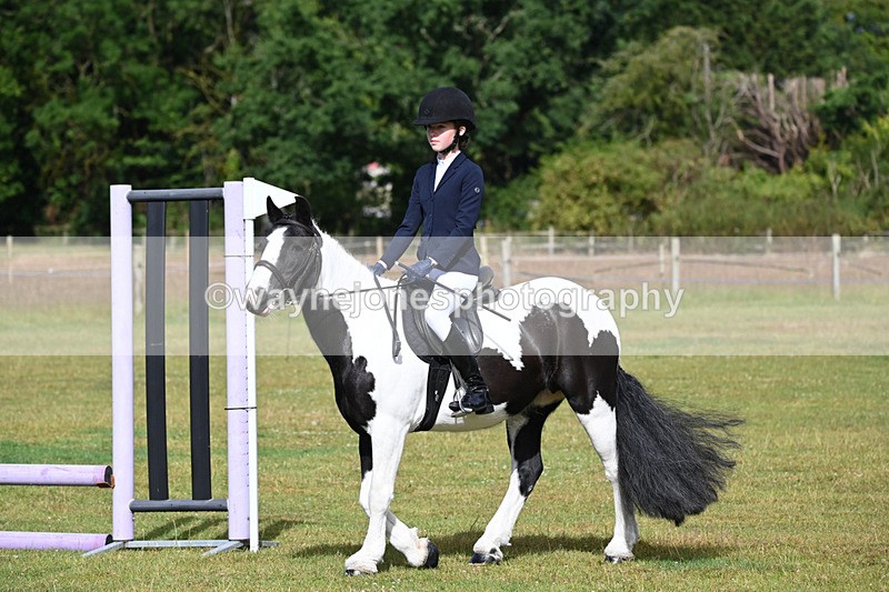 WJ6_8500 - Class 9 Tack & Turned out
