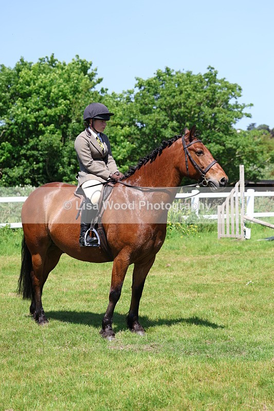 3E7A7335 - Class 30: Novice Working Hunter