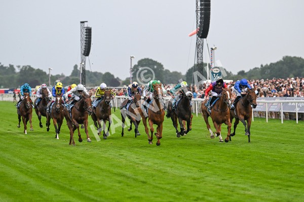 250725-Race 5-Sand Gazelle-6030 - Race 5 7.48pm British EBF Lyric Fillies' Stakes
