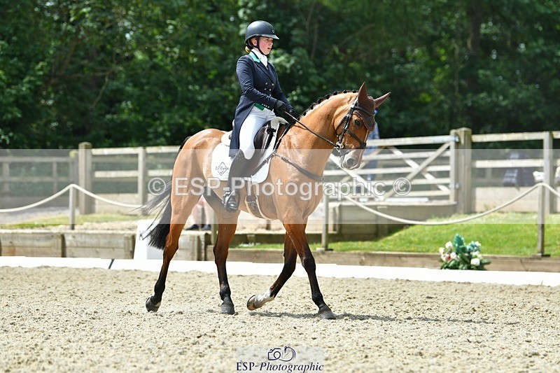 230525-120511-04165 - 206-MEXICAN_WAVE-Daisy_Bathe-WEDTrotUp+DR