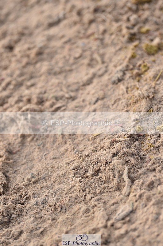 231015A-134320-08409 - Cls 25 95cm Amateur Q 2nd R