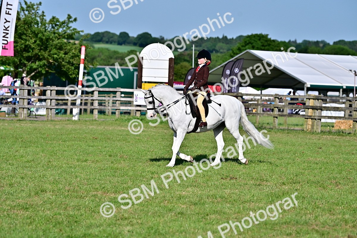 SBM_19883 - Class 103 - 105 - TSR Ridden Amateur of the Year Plaited Ponies
