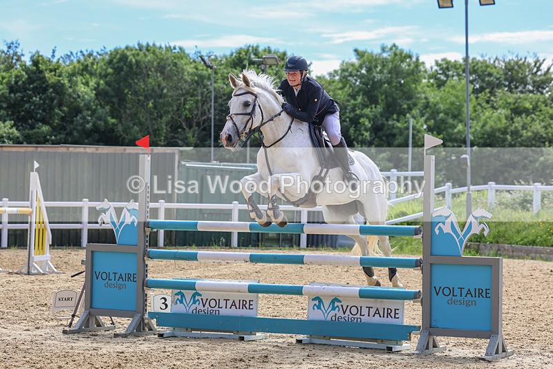 3E7A7537 - Class 9: Senior Foxhunter/1.20 open
