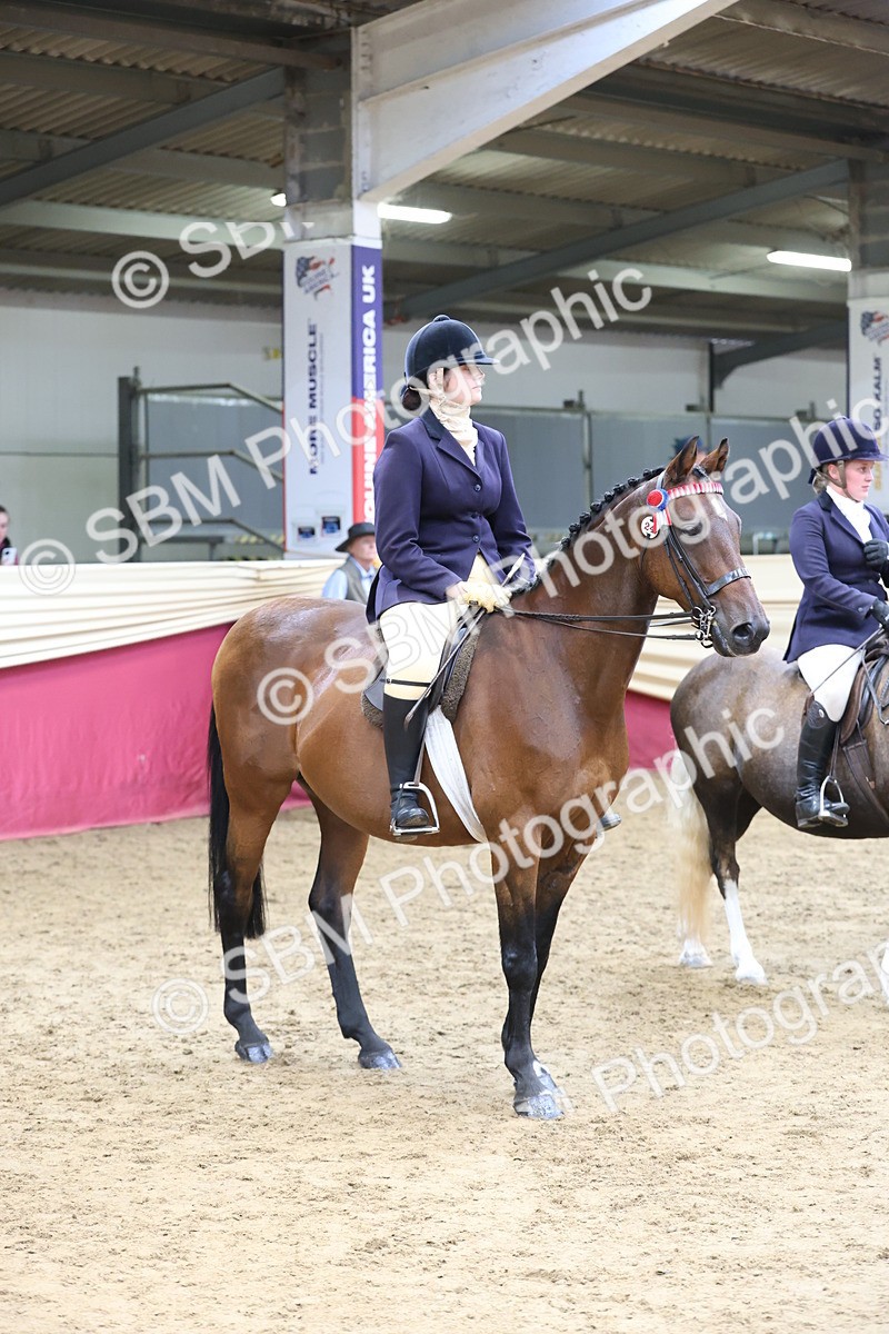 SBM_24067 - Class 905 - Supreme Final - Ridden Veteran
