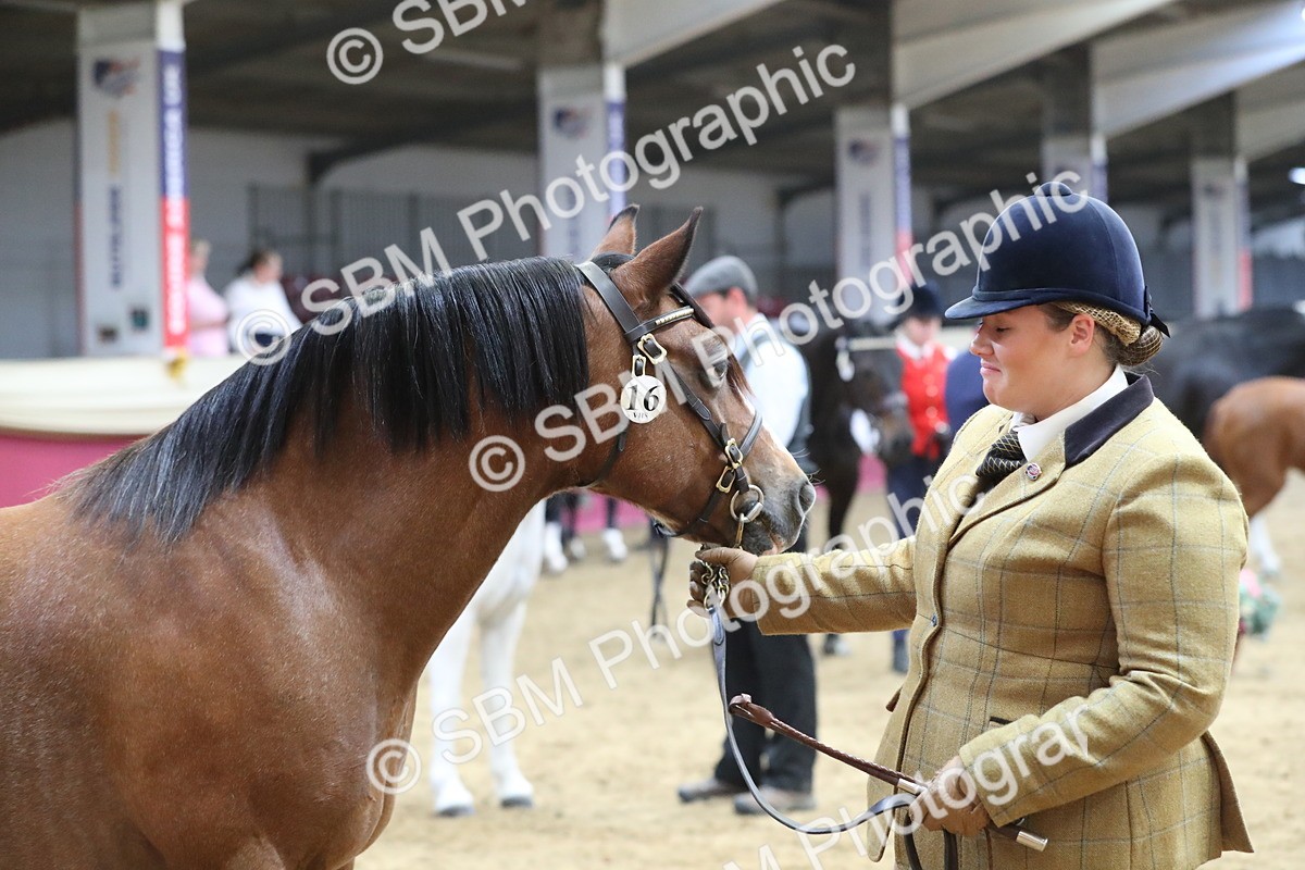 SBM_06417