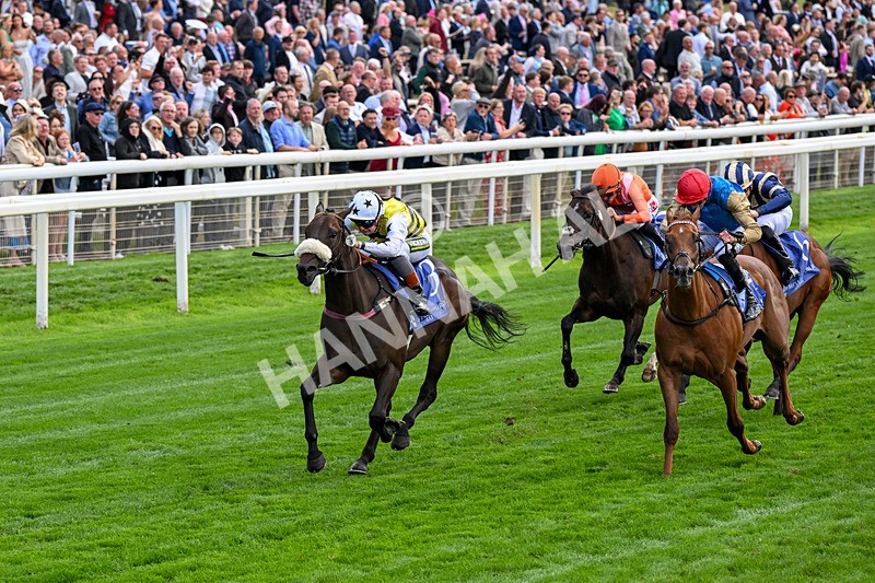 210826-Race 3-Arapaho Gold-0191 - Race 3 15.00pm Al Basti Equiworld Dubai Gimcrack Stakes