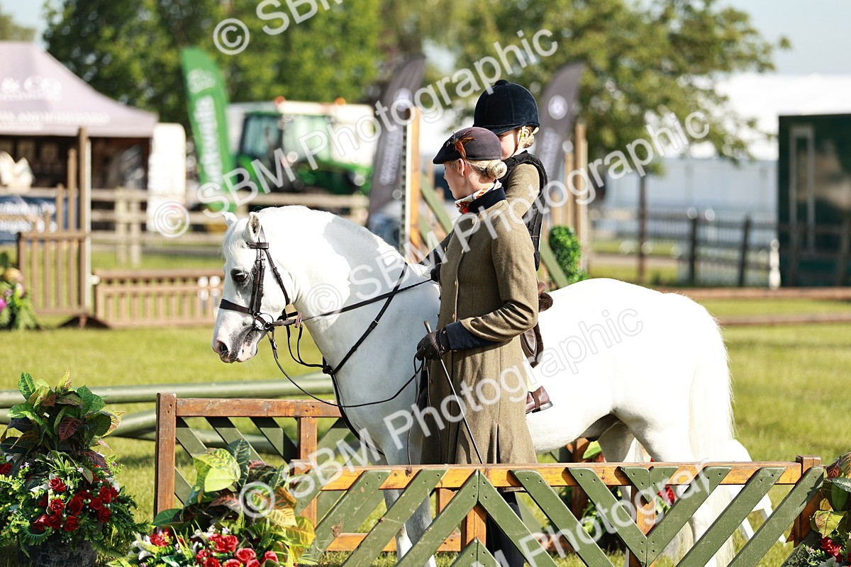 SBM_11259 - Class 106-107 - BSPS LIHS Working Sports Pony