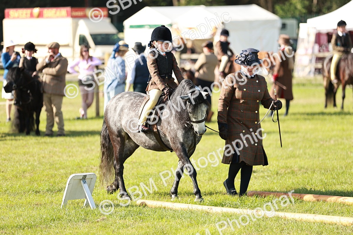 SBM_11219 - Class 106-107 - BSPS LIHS Working Sports Pony