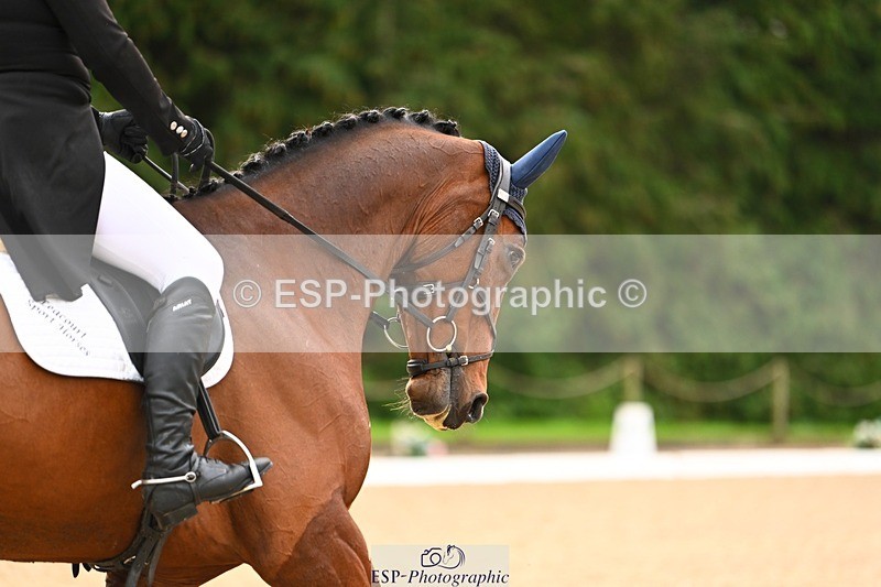 231021-100202-12655 - 229-HARTHILL.SAMBA-Charlotte.Rowe-DR