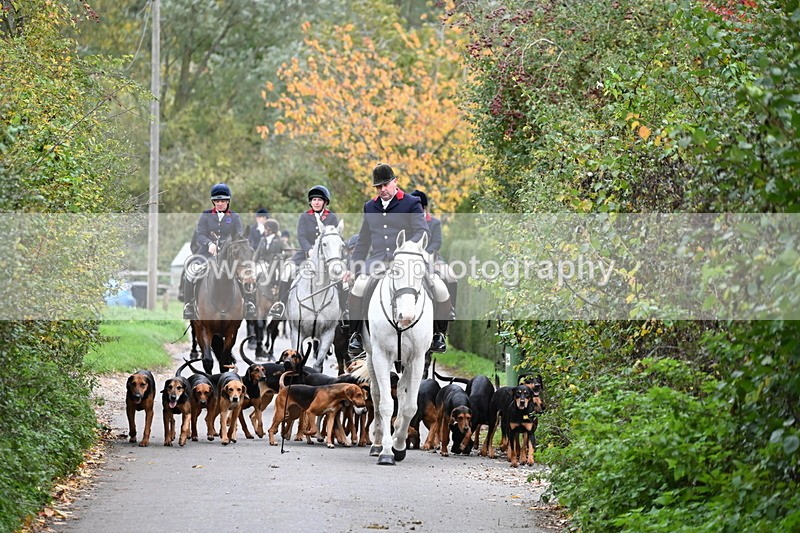 WJ6_8314 - Walk Home..