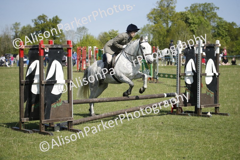 20250427-2063 - Class 13 - Novice Jumping 60cm