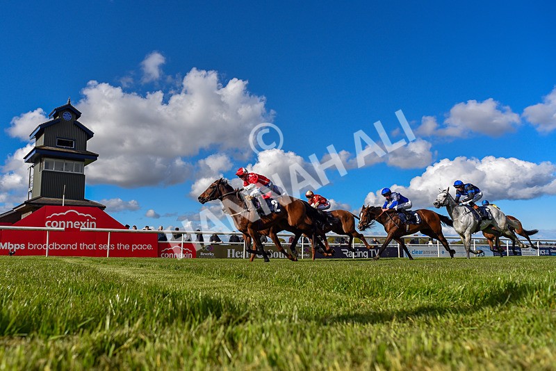 250424-Race 6-Wheres Jeff-3985 - Race 6