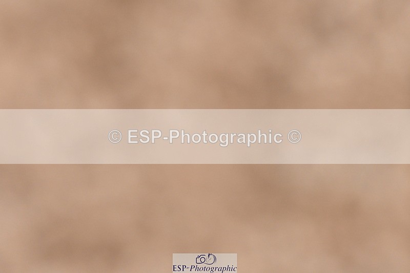 231217A-104828-00206 - Quest Classes