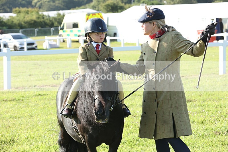 JPP_0723 - Class 16: Cornish Combination Leading Rein