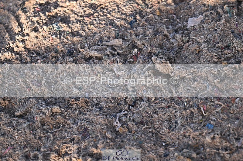 251203-125123-00544 - Cls 4 Newcomers and 1.10m Open