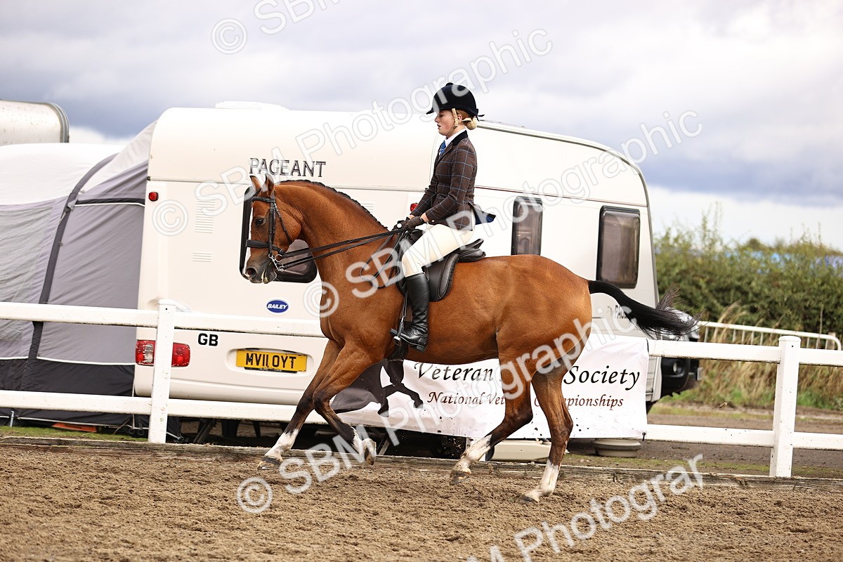 SBM_00593 - Class 53 - Ridden Competition Horse Pony