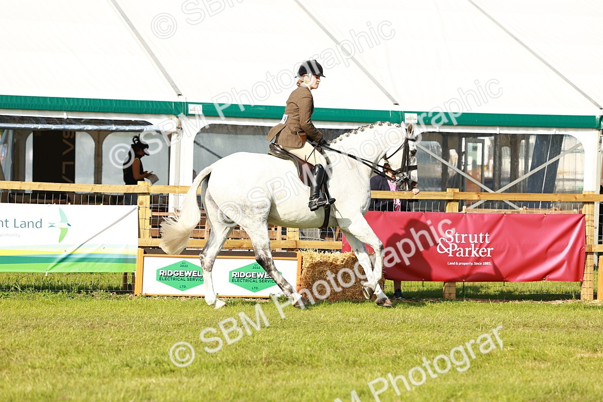 SBM_10902 - Class 66-69 - RIHS Ridden Hunters Inc Small Hunter