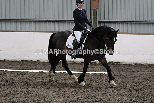 SIAL3876 - CAbin Dressage 5th july 2025