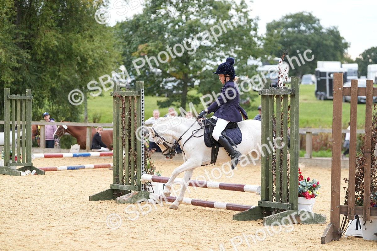 SBM_74821 - J4 - Mini Tour Junior Pony 45cm Championship