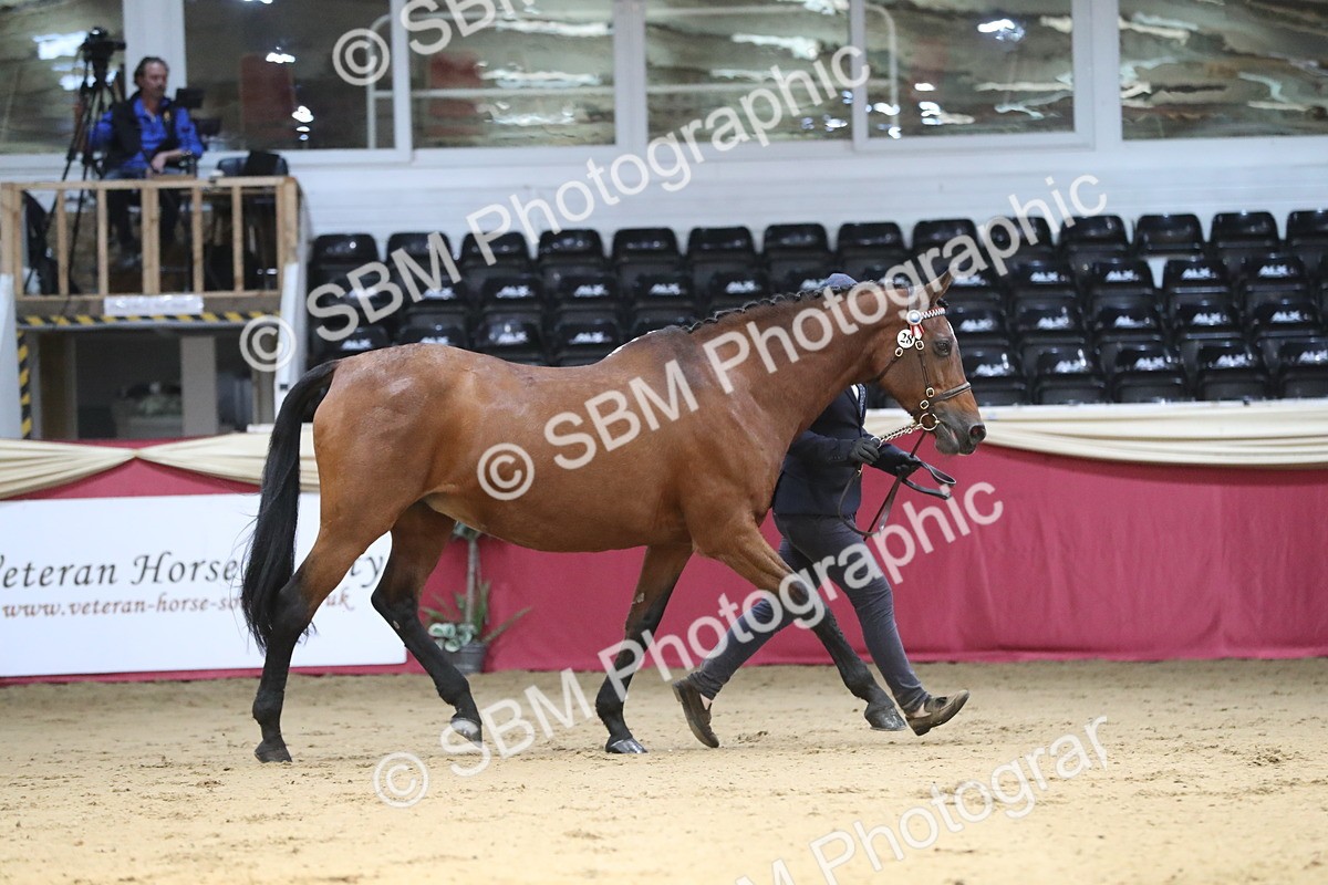 SBM_04349 - Class 7R Regional - IH Diamond