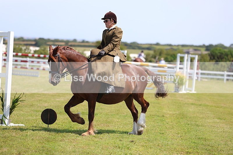 3E7A9649 - Class 13: Side Saddle