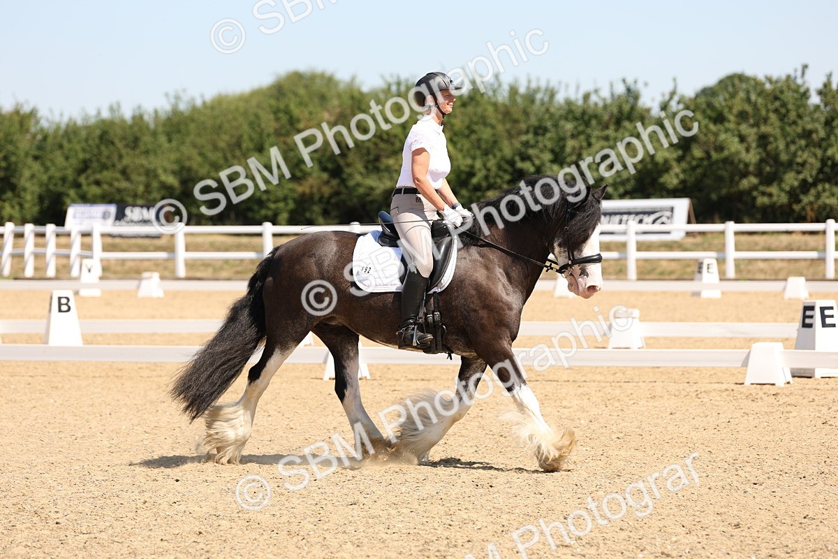 SBM_001194 - Intro 2