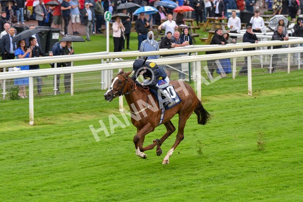 140723-Race 2-Swingalong-8129 - Race 2 2.40pm William Hill Summer Stakes
