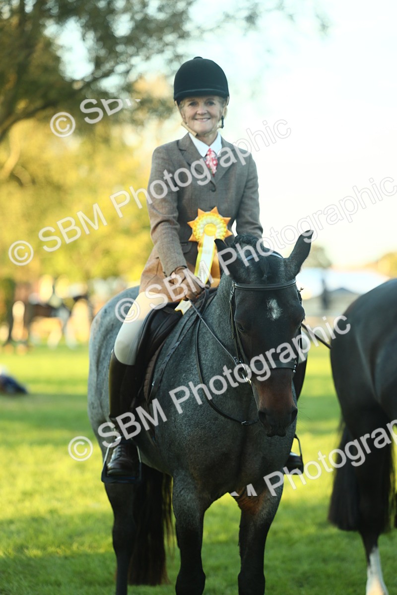 SBM_56549 - S14 - Riding Club Horse