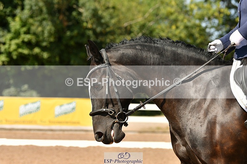 250817-145937-10359 - 219-Carron.SaundersSelene