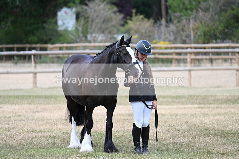 WJ7_1543 - Class 4 Prettiest Mare up to 14.2hh in hand