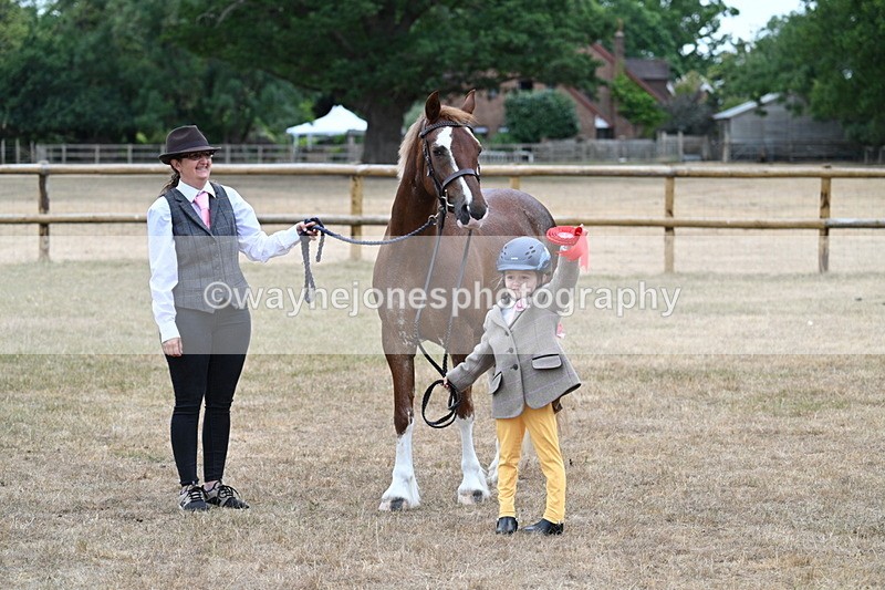 WJ7_8566 - Class 4 Prettiest Mare up to 14.2hh