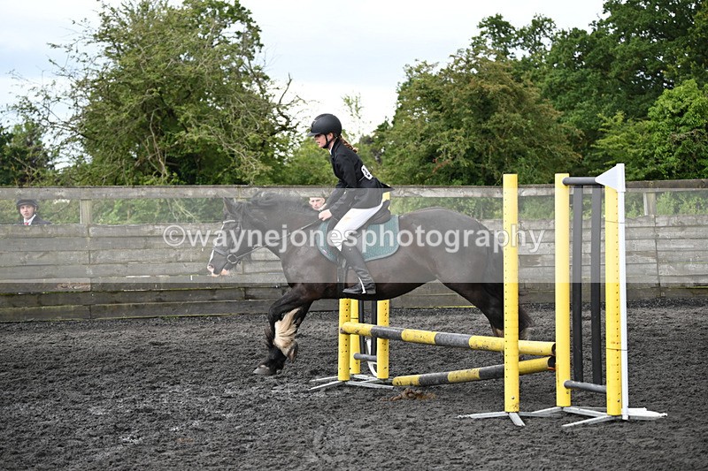 WJ6_0061 - Class 13 Novice 60cm