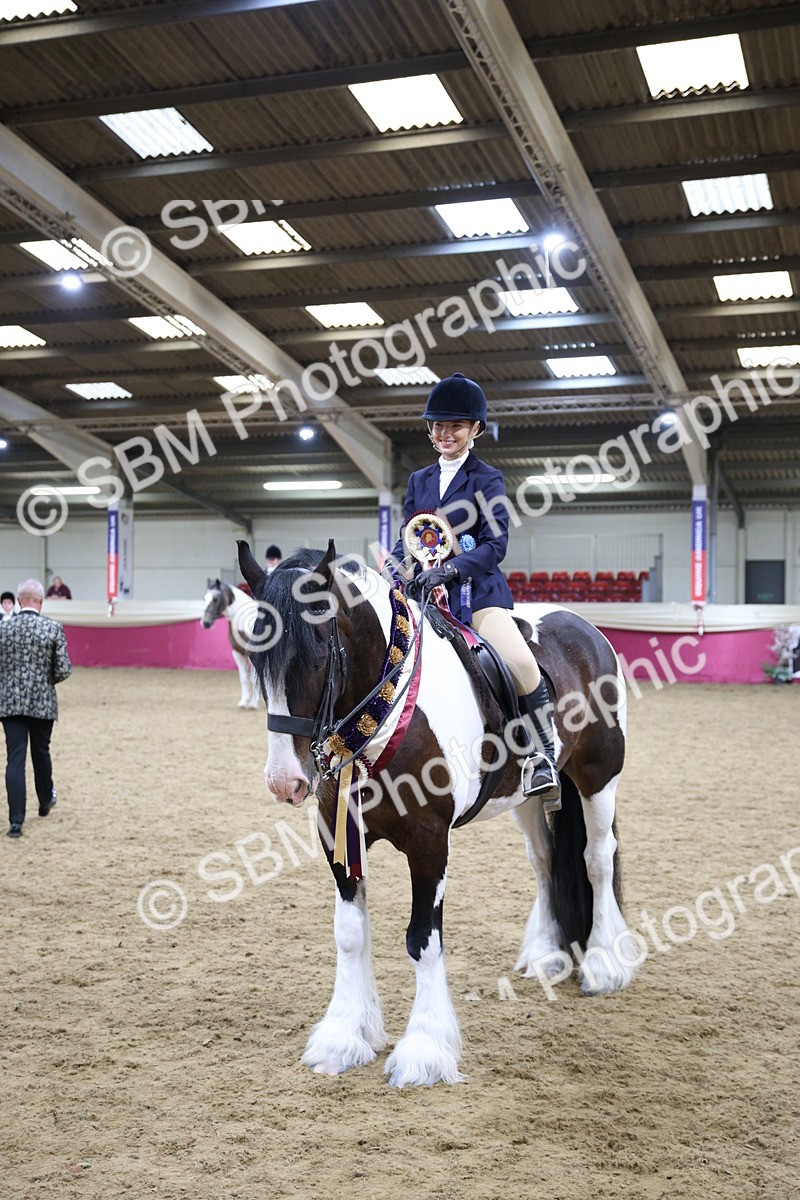 SBM_18531 - Class B Junior Champ 11-16 years