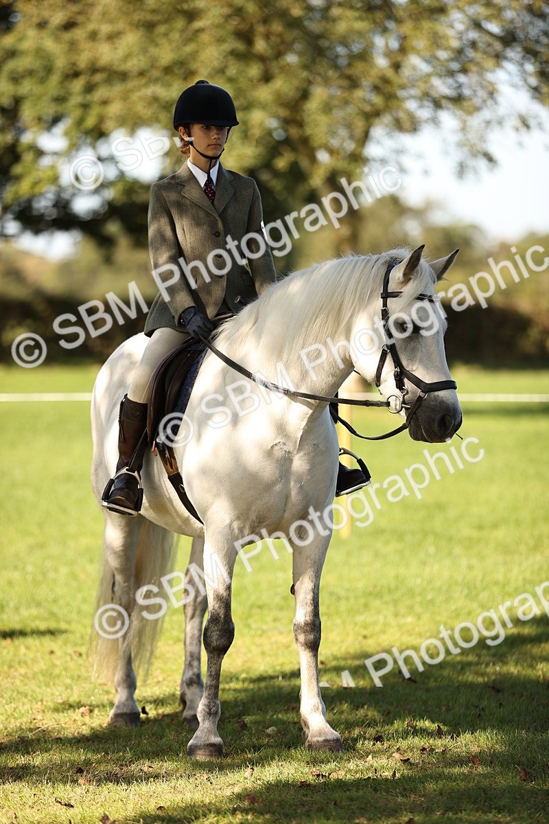 SBM_19061 - S3 - TSR Ridden Pony Showing