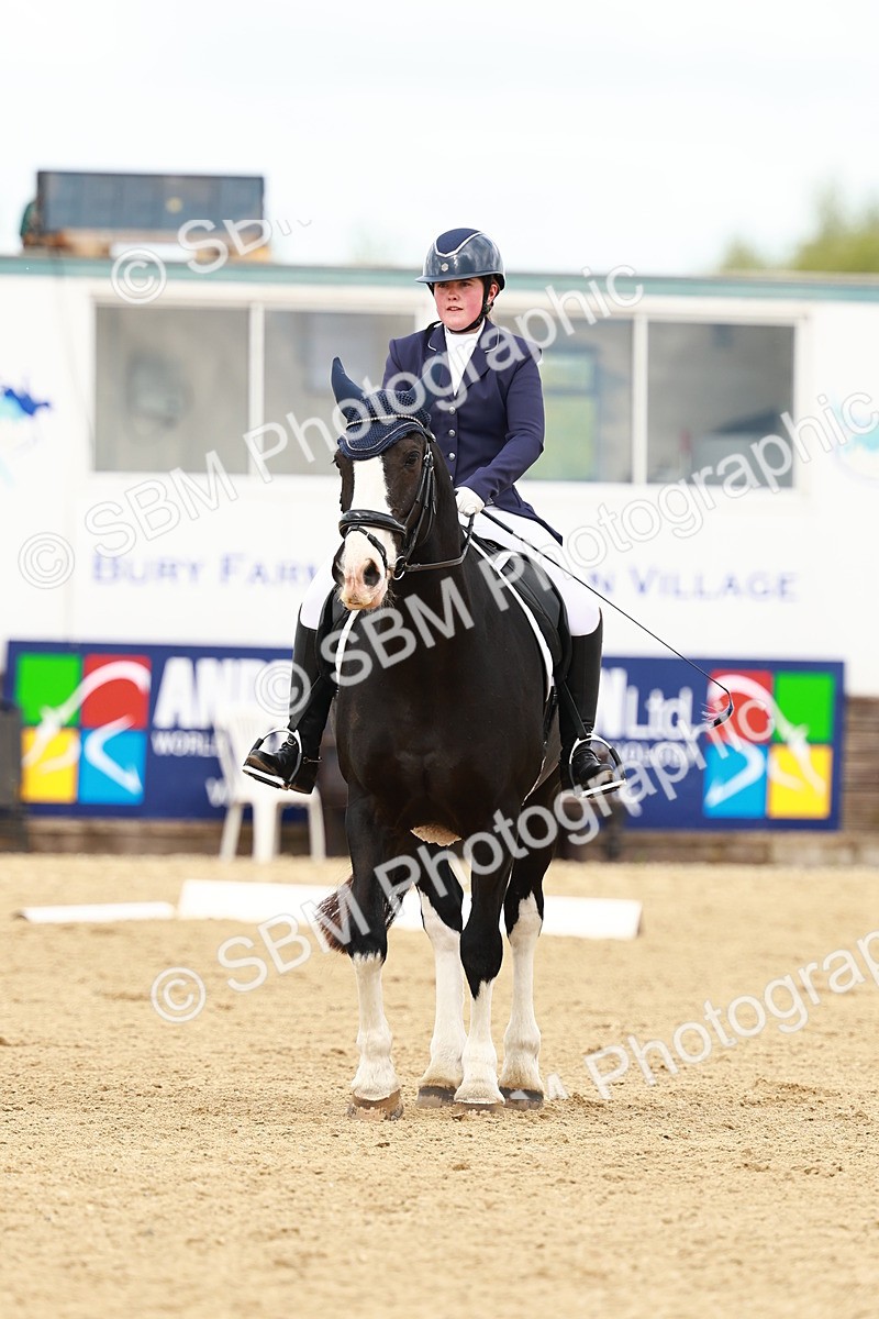 SBM_000703 - Class 8 - N5