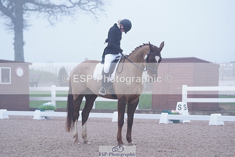 250215-094722-02703 - 142-Daisy.Hedges-Felicia.v