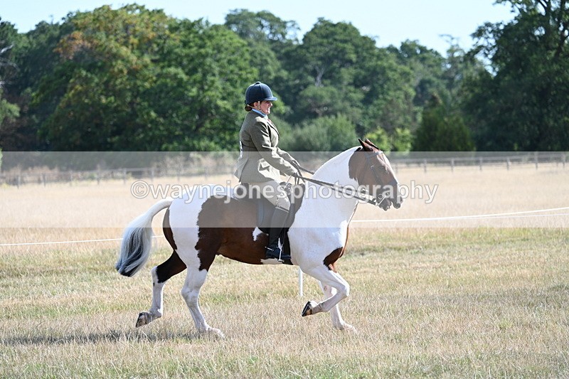 WJ7_2814 - Class 8 Ridden Tack & Turnout