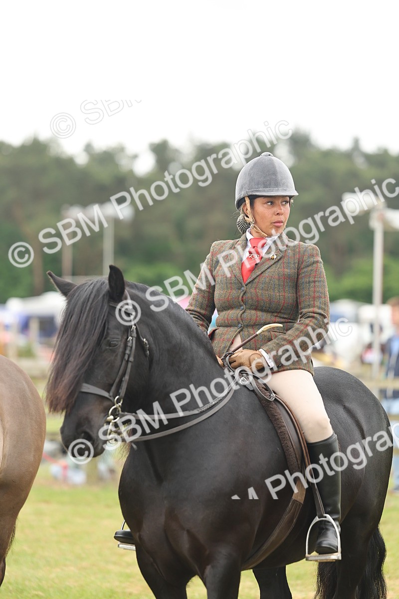 SBM_09028 - Class 78-80 - Ridden M&M Non Welsh Ponies