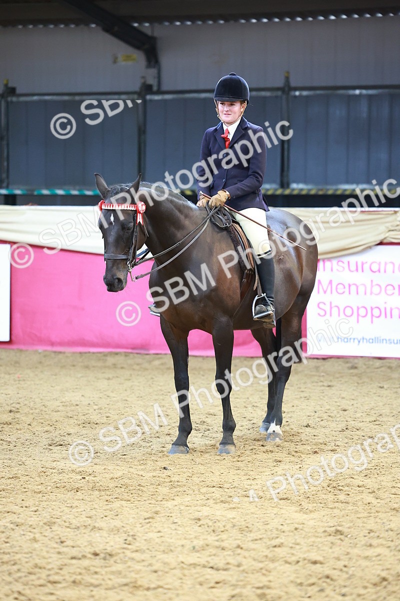 SBM_12668 - Class 103 - HOYS Veteran Qualifier - Ridden Pre Vet