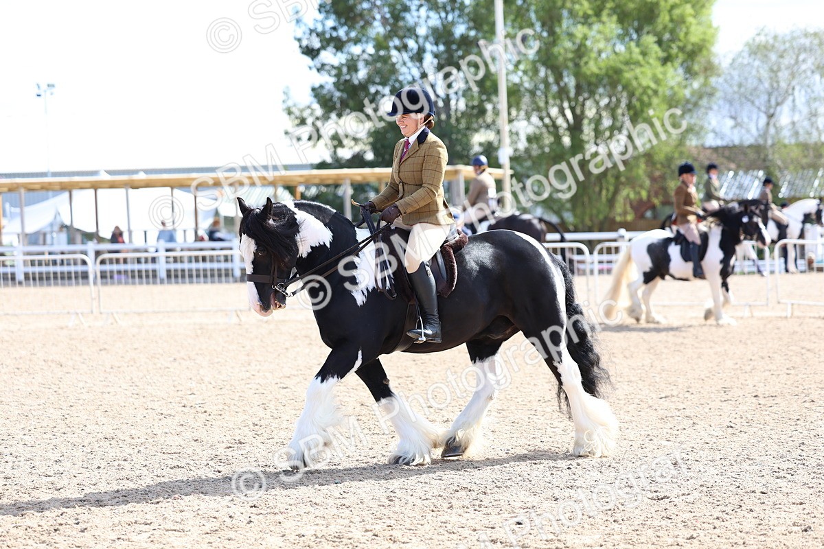 SBM_11375 - Class 307 - Ridden Coloured Pony