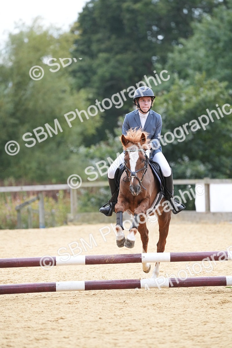 SBM_74834 - J4 - Mini Tour Junior Pony 45cm Championship