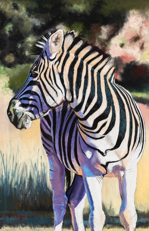 Punda - Paintings