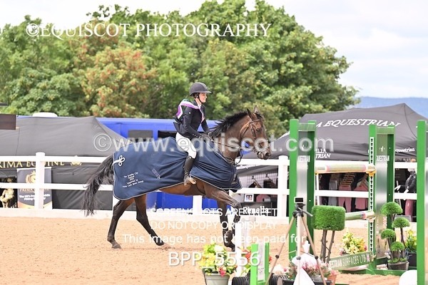 BPP_5556 - CLASS 8 THURS HOYS GFS Saddles Senior Newcomers Second Round