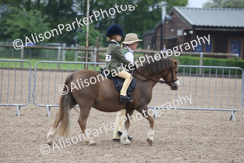 20260504-0108 - Class 9 - Lead Rein Pony