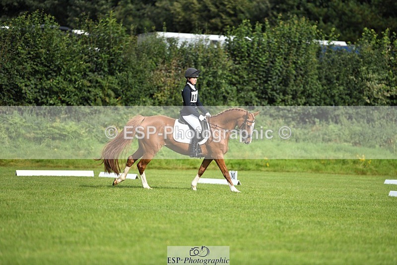 230826-093329-15142 - Sections C & D 9 to 10am