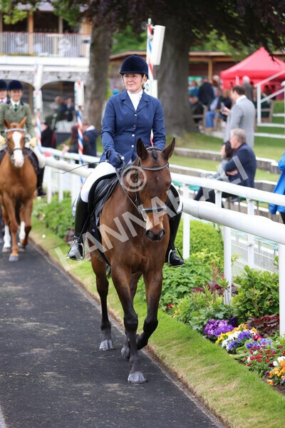 yr22052022r8e-67 - ROR - Parade Ring York