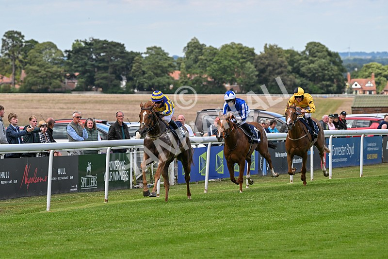 240625-Race 7-Azuinthejungle-9330 - Race 7